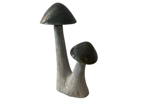 Mushrooms - 2 Heads.