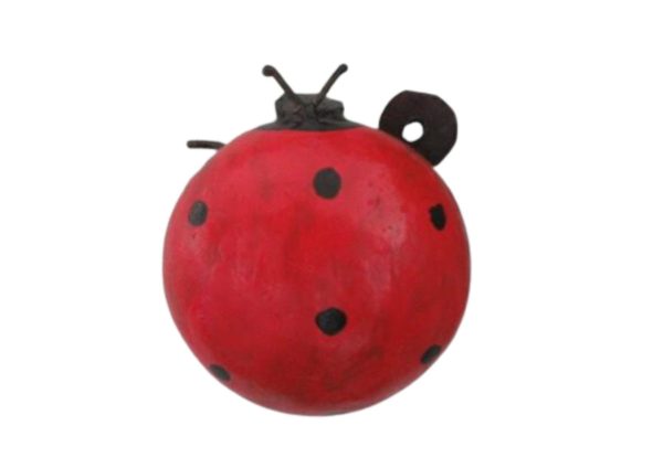 Ladybird /Ladybug