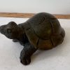 Tortoise (Small)