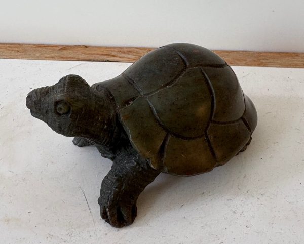 Tortoise (Small)
