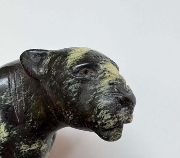 IMG_4063 Leopard Running