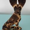 Wild Dog/Painted Dog-Wood