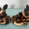 Wild Dog/Painted Dog-Wood