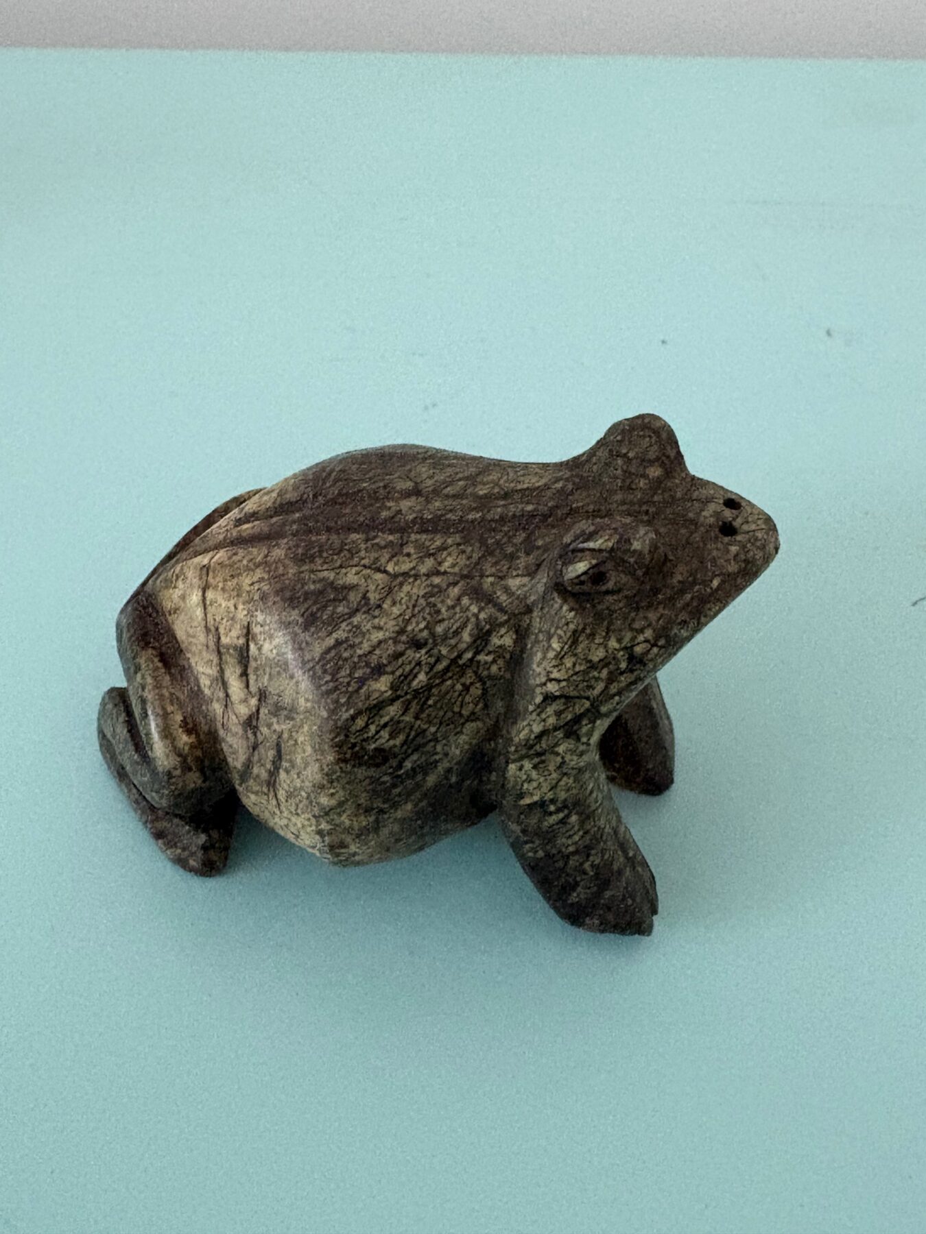 Home Frog (S)