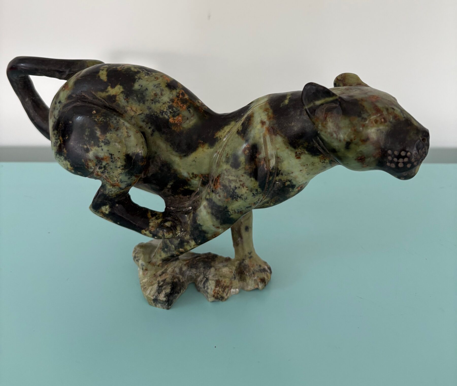 Leopard Running