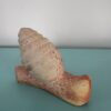 Snail