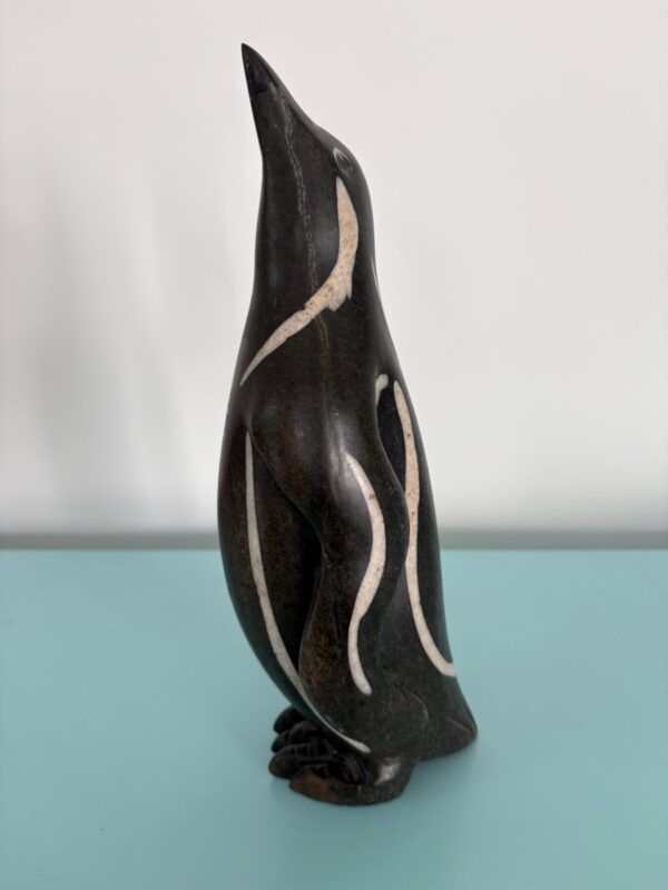 IMG_5436 Penguin